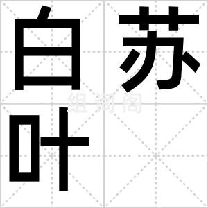 白苏叶
