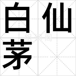 白仙茅
