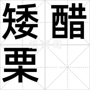 矮醋栗