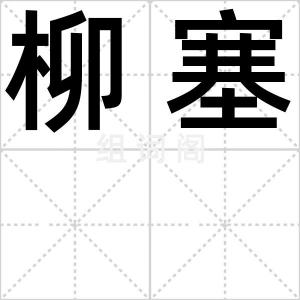柳塞