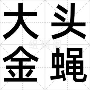 大头金蝇