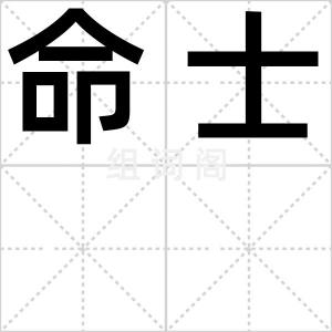 命士