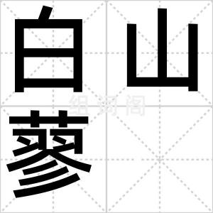 白山蓼