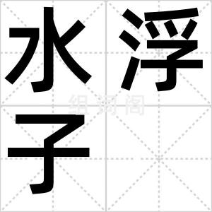 水浮子