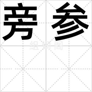 旁参