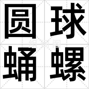 圆球蛹螺
