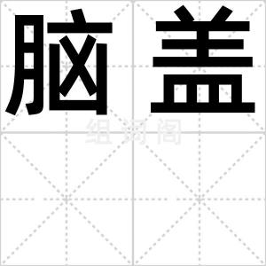 脑盖