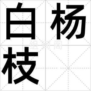白杨枝