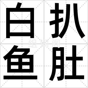 白扒鱼肚