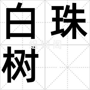 白珠树