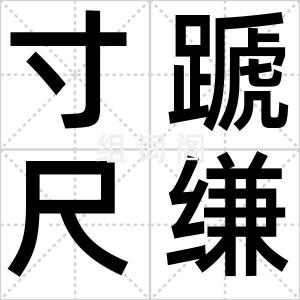 寸蹏尺缣