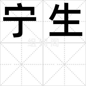 宁生