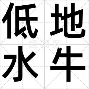 低地水牛