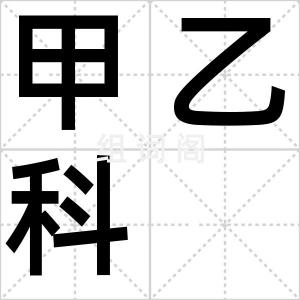 甲乙科