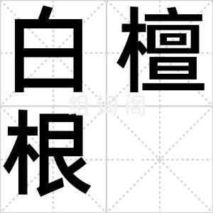 白檀根