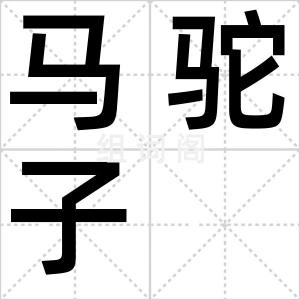 马驼子