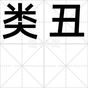 类丑
