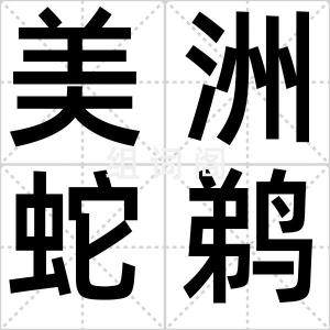 美洲蛇鹈