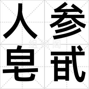 人参皂甙
