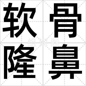 软骨隆鼻