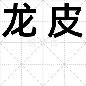 龙皮
