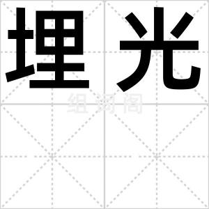埋光