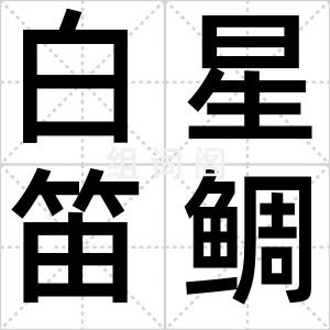 白星笛鲷