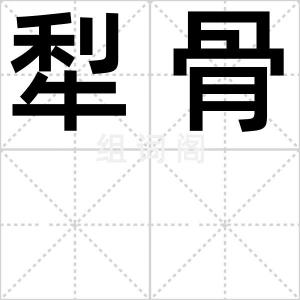 犁骨