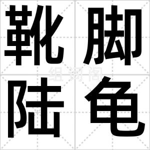 靴脚陆龟
