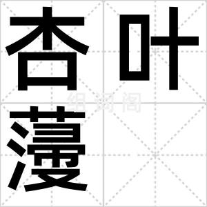 杏叶薓