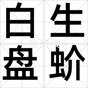 白生盘蚧