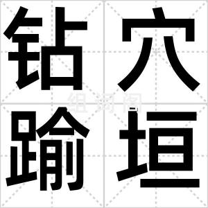 钻穴踰垣