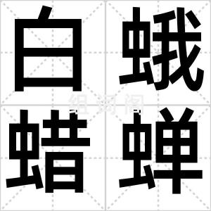 白蛾蜡蝉