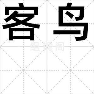 客鸟