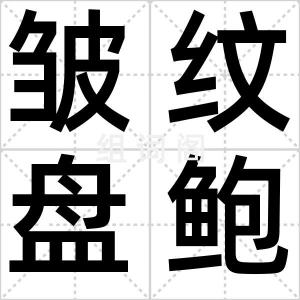 皱纹盘鲍