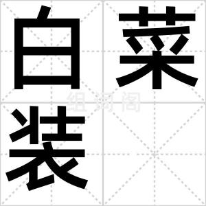 白菜装