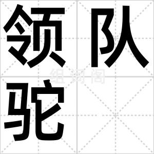 领队驼