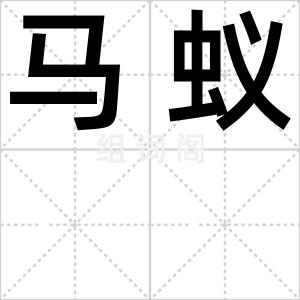 马蚁