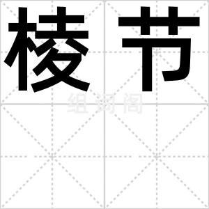 棱节
