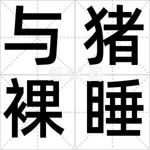 与猪裸睡