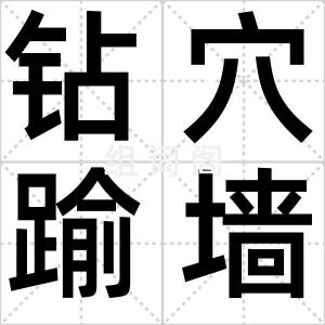 钻穴踰墙