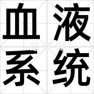 血液系统