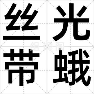 丝光带蛾