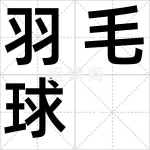 羽毛球