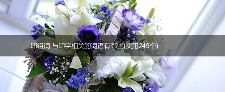 印组词 与印字相关的词语有哪些(实用249个),第1张