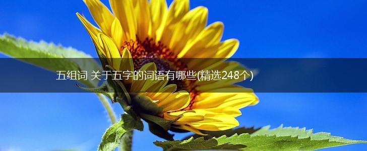 五组词 关于五字的词语有哪些(精选248个),第1张