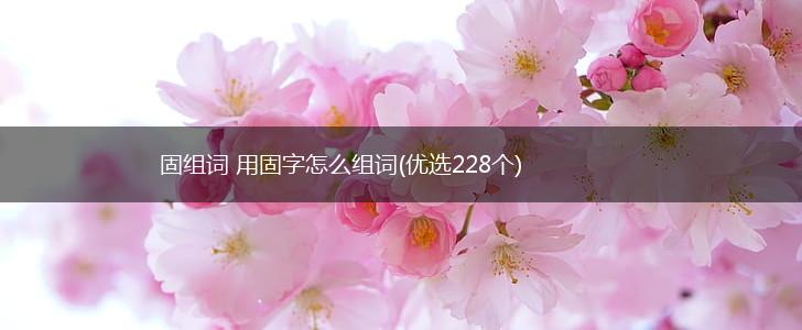 固组词 用固字怎么组词(优选228个),第1张