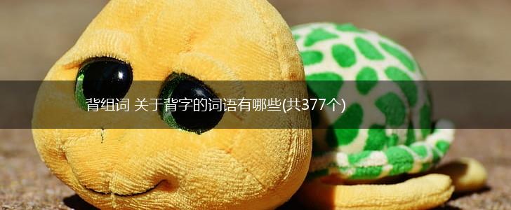 背组词 关于背字的词语有哪些(共377个),第1张