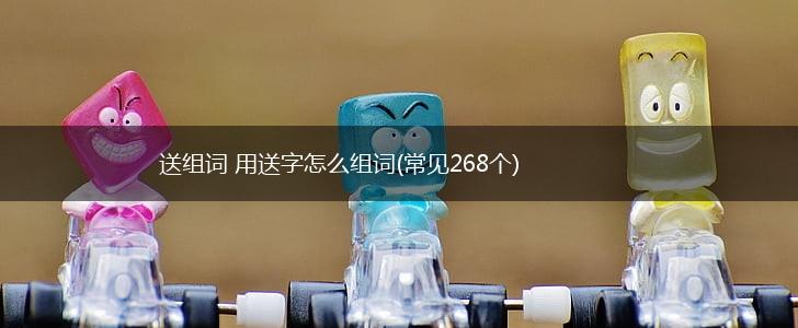 送组词 用送字怎么组词(常见268个),第1张