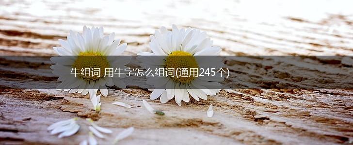 牛组词 用牛字怎么组词(通用245个),第1张